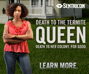 killtermites
