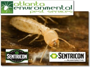 Sentricon Termite Control