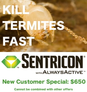 Get Sentricon termite protection for only $650