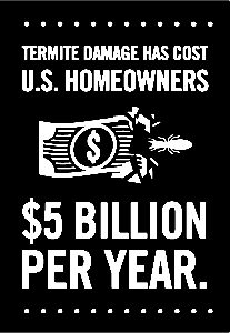 Termite Control Damage Prevention