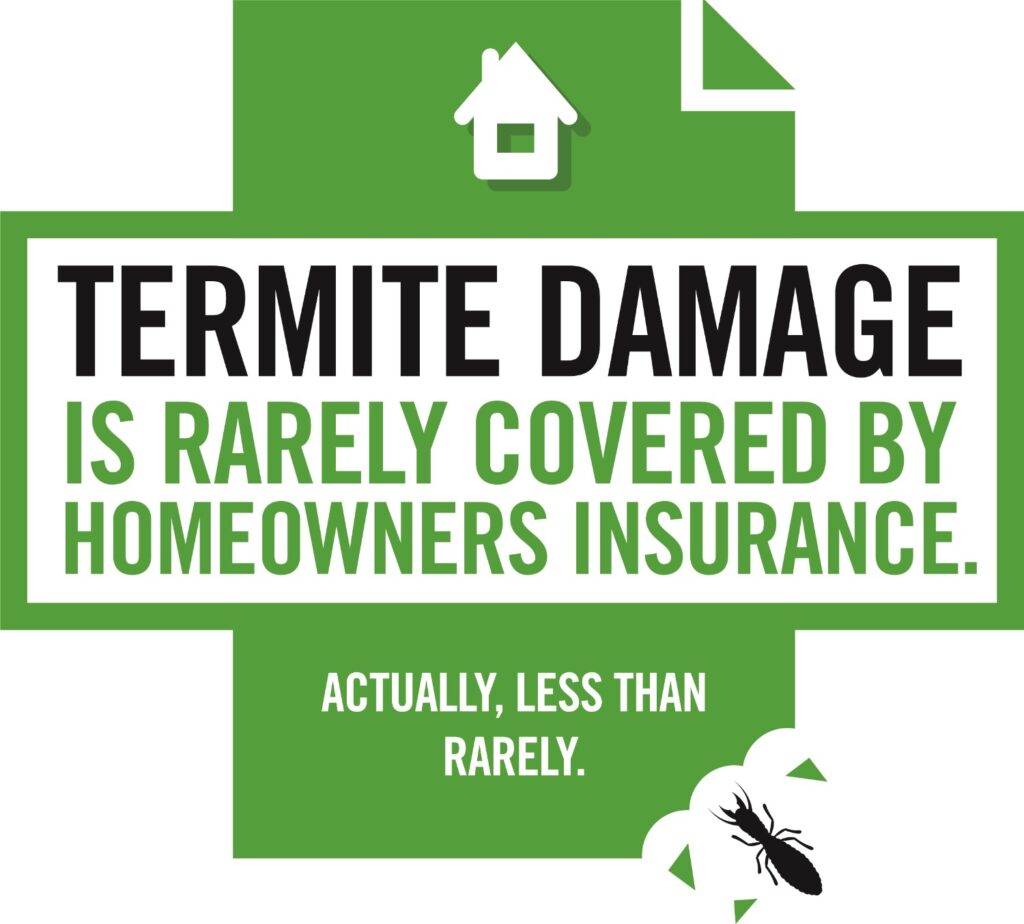 Does Your Homeowners Insurance Cover Termite Damage? Atlanta Environmental Pest Services