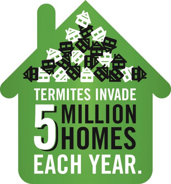 5 Million Homes 5 Million Homes